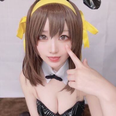 ハルヒ🐰