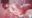 鵺凰工房/AtelierYakohの商品