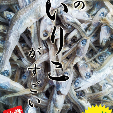 このいりこがすごい