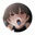 Fantia公式 クリエイターグッズショップの商品