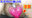 広瀬ゆう/ Yu Hirose＋ALL FANSの商品