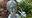 MessyReport007S