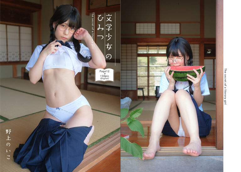 DL版【C100新刊】文学少女DL写真集