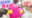 広瀬ゆう/ Yu Hirose＋ALL FANSの商品