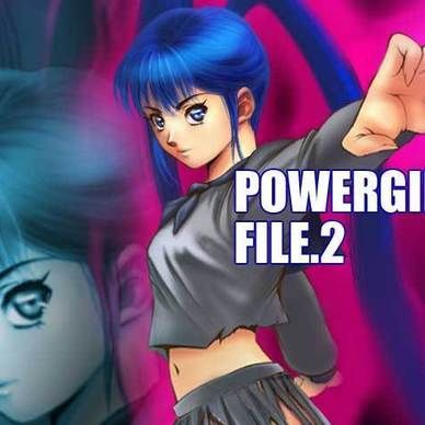 POWERGIRLS FILE.2