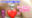 広瀬ゆう/ Yu Hirose＋ALL FANSの商品