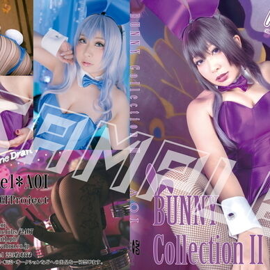 BUNNY Collection2(DL版)
