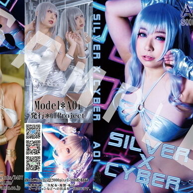 silver×Cyber(DL版)