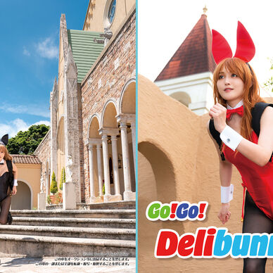 Go!Go!Delibunny!!
