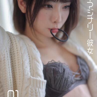 【C101】【DL版】イマジナリーゲーマー彼女写真集未封入写真集