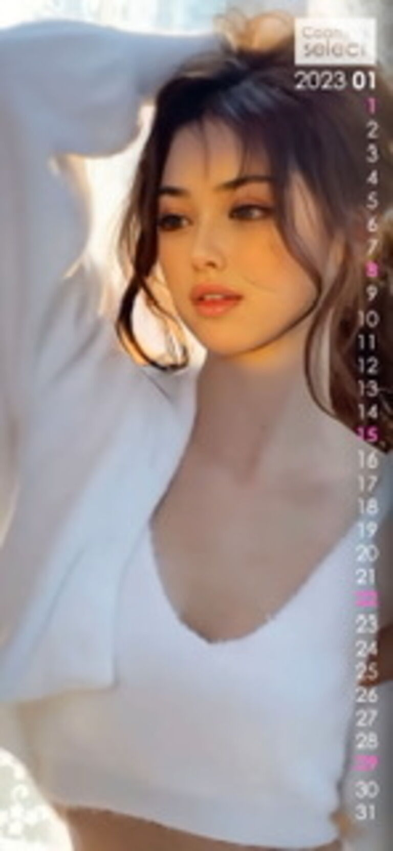 Wallpaper with 2023/1 calendar 02