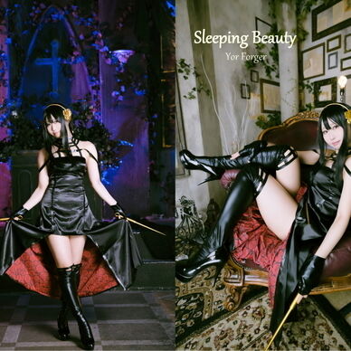 Sleeping Beauty(ヨルさん冊子)