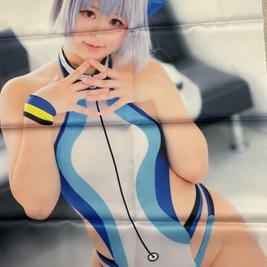 【B2布ポスター　FGO 巴御前　コスプレ】