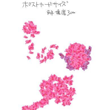 花ブラシ（clipstudio用）