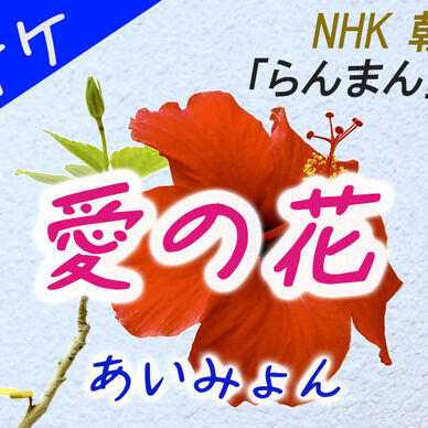  【カラオケ】 愛の花 - あいみょん 