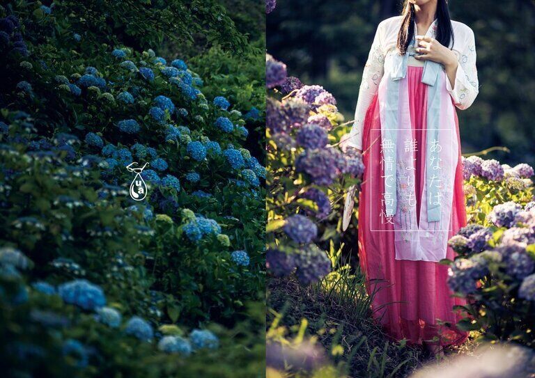 【写真集&ポストカード】漢服×紫陽花「あなたは誰よりも無情で高慢」