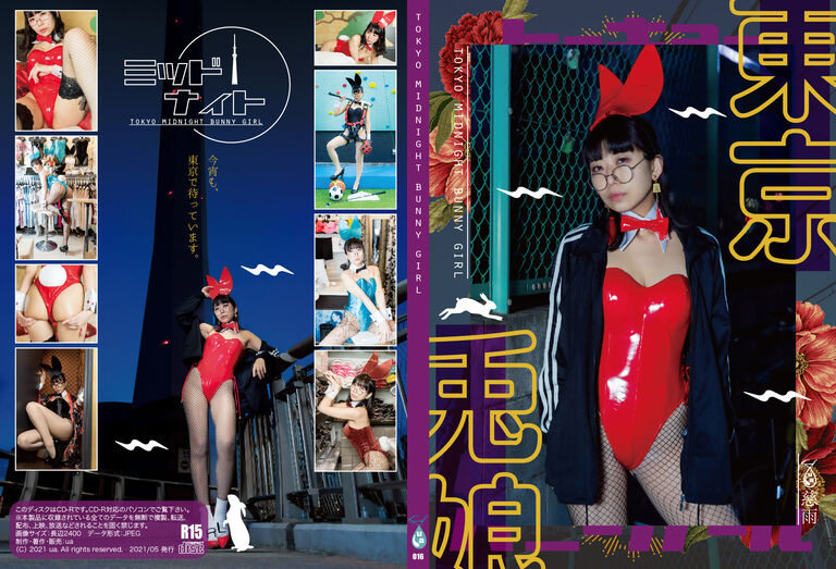 【パッケージ版ROM】「トーキョー･ミッドナイト･バニーガール」
