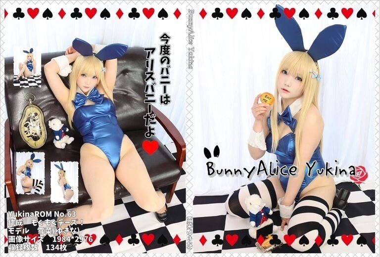 【パッケージ版】BunnyAlice Yukina