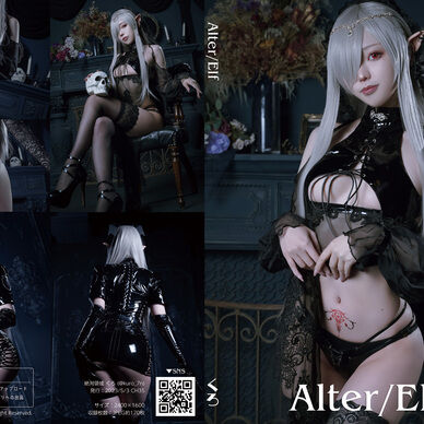 【CH35】ROM写真集「Alter/Elf」