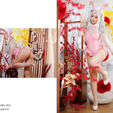 【ダウンロード版】 バニーガール × メイド