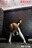 さいき橅　写真館📷の商品