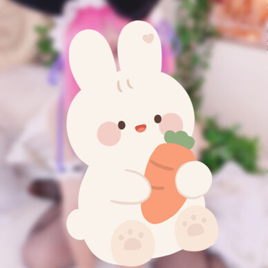 ラムバニー🐰