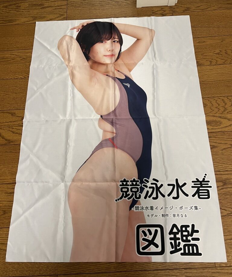 【限定1枚】競泳水着図鑑B1布ポスター