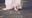 夏目縮小亭の商品