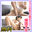 帰国子女なおみのファンクラブの商品