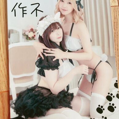 写真集　猫不工作