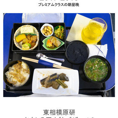ANA国内機内食まとめ2017-2018
