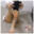 snowysoftfeetの商品