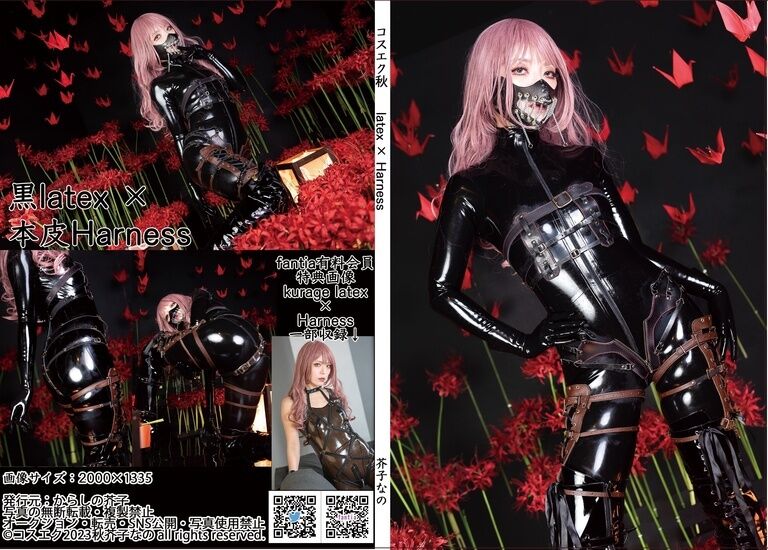 【DL版】latex × Harness【2023コスエク秋新刊】