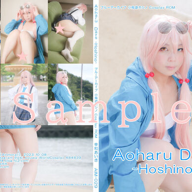 【DL版】ブ○ーアーカイブ　小鳥遊ホシノコスプレROM「Aoharu Days -Hoshino-」