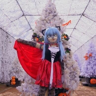 【無料】雪月花の写真集（2023年10月号）
