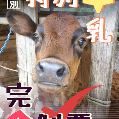 特別牛乳完全制覇