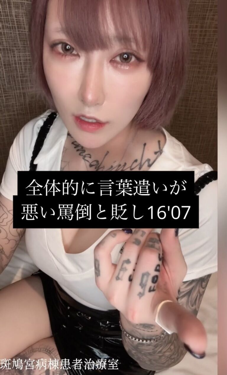 言葉遣い悪い言葉責め〇〇♡罵倒と貶しPOV 16'07