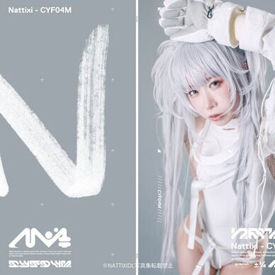 DL版　CYF04M