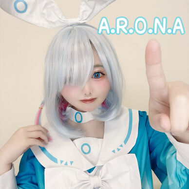 A.R.O.N.A