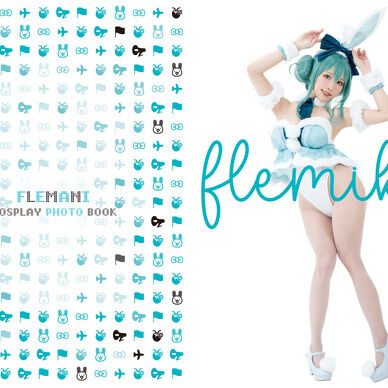 「flemiku」(PDF版)