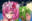 Ason@女性上位RPG制作中の商品