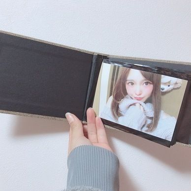 ブロマイド帳（ブラウン）