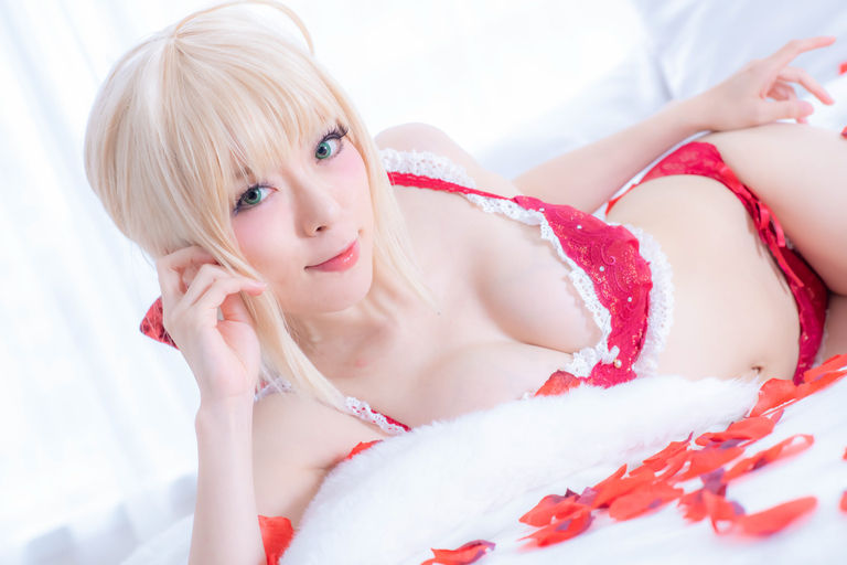 【4月分DL写真集】Fate ドリームテックシリーズ ランジェリー シリーズ
