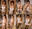 【155枚】セクシーランジェリーで密着グラビア