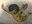 空飛ぶ少年