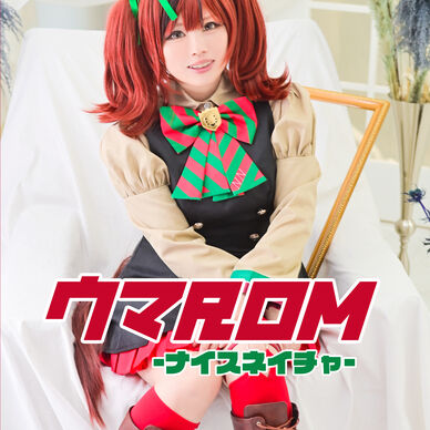 ウマROM -ナイスネイチャ-