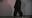 st_zubo/