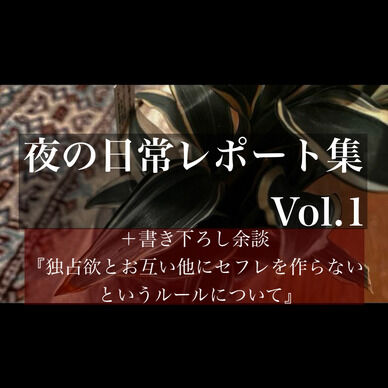 夜の日常レポート集 Vol.1 (第1回~第5回+書き下ろし)