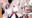 ペペロンのMMD部の商品