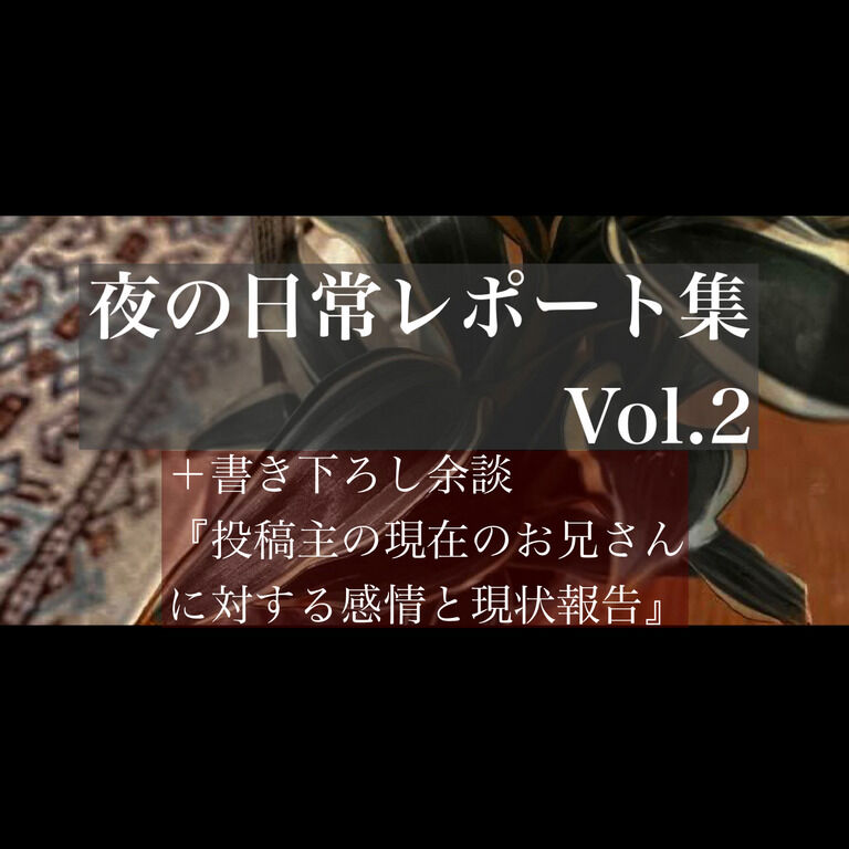 夜の日常レポート集 vol.2 (第6回〜第10回＋書き下ろし余談)